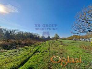 Poljoprivredno zemljište na Čeneju!